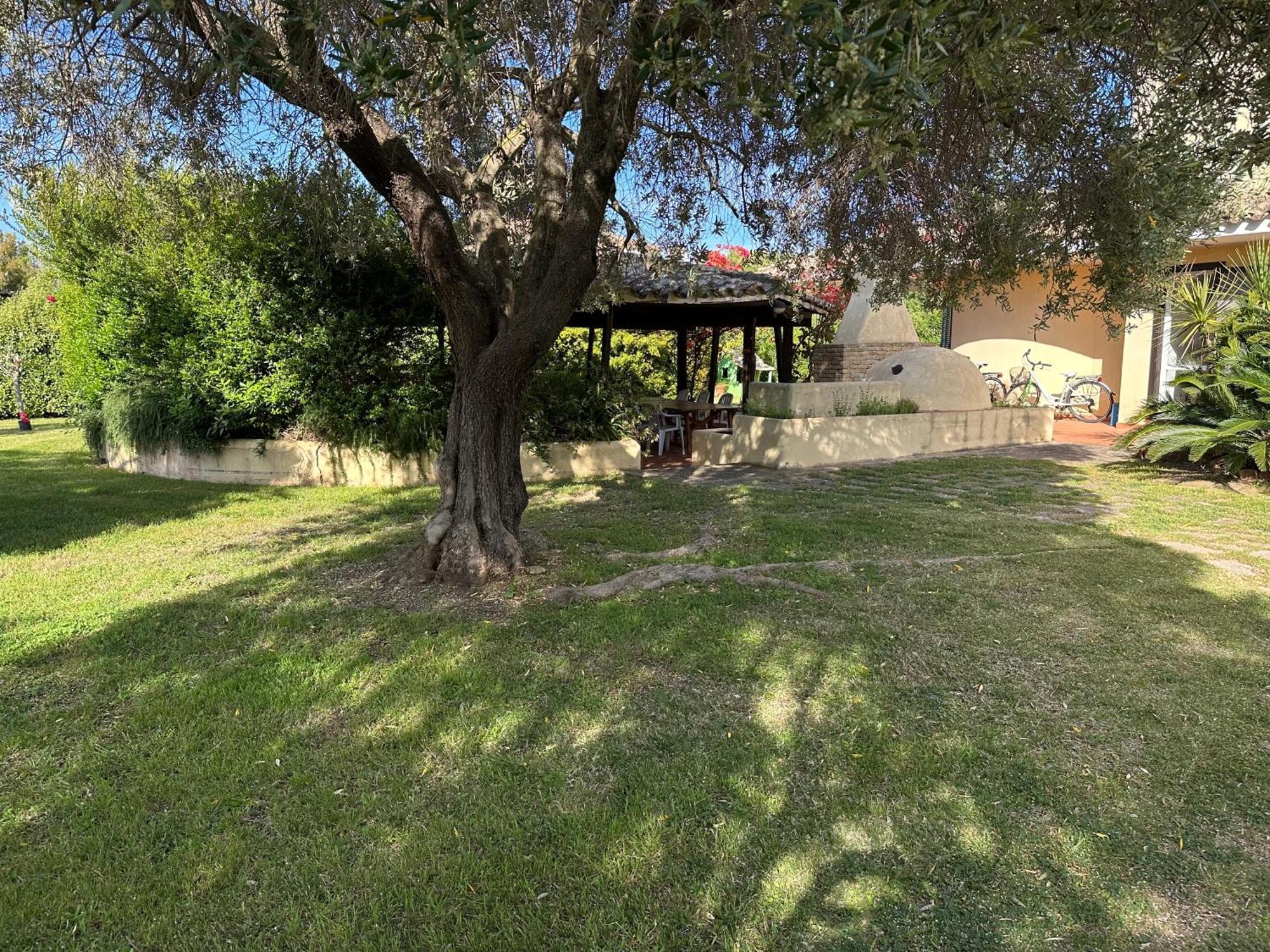 Villa Degli Olivi Pula Exterior foto